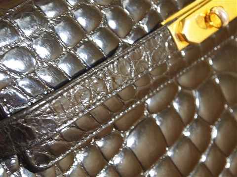 crocodile bag (16)