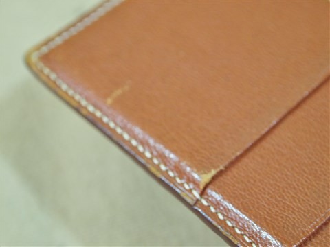 hermes alligator (10)