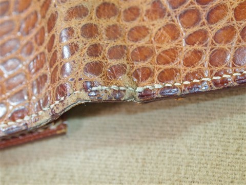 hermes alligator (3)