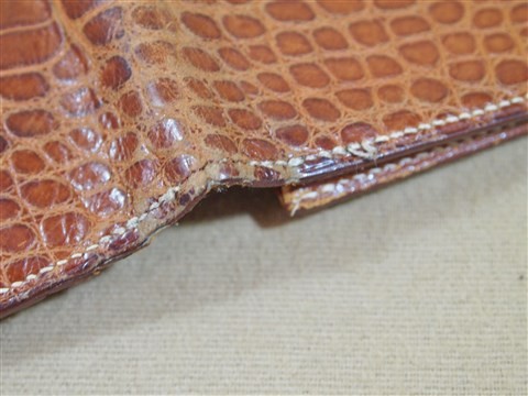 hermes alligator (4)