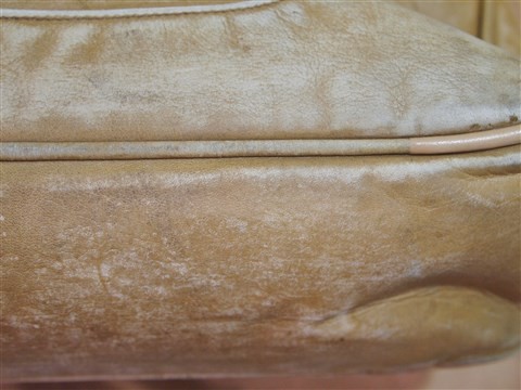 chanel shoulder bag (12)