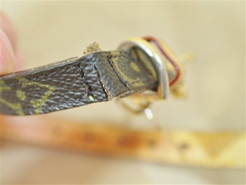 lv  dog collars (3)