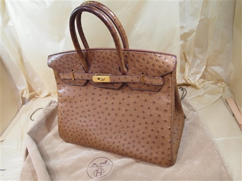 hermes ostrich Birkin (1)