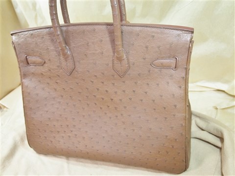 hermes ostrich Birkin (13)