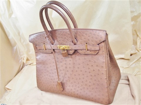 hermes ostrich Birkin (14)