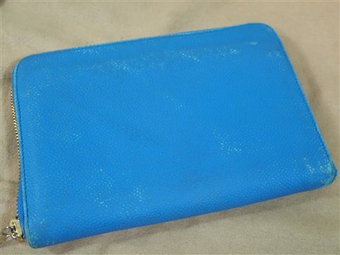 zippy wallet chanel (12)