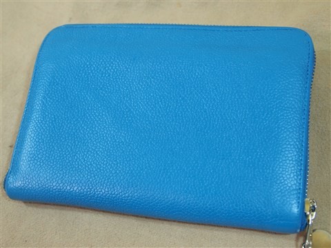 zippy wallet chanel (17)