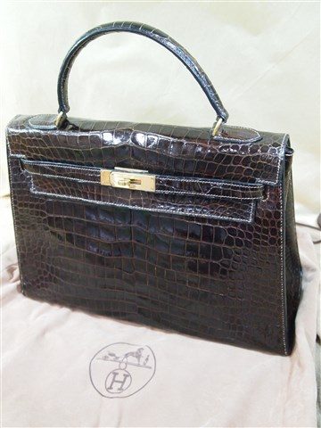 hermes crocodile (1)