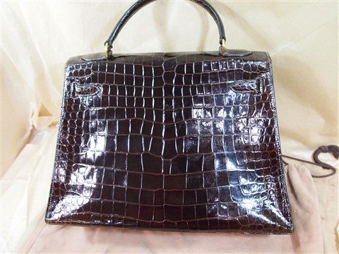 hermes crocodile (2)