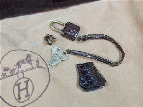 hermes crocodile (5)